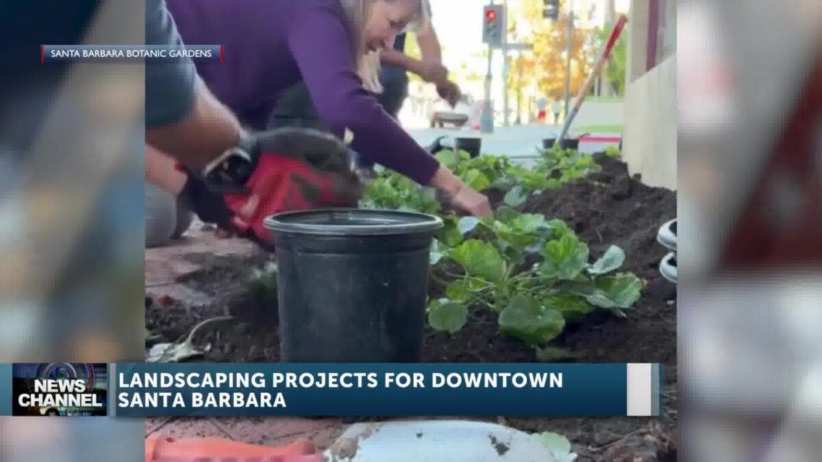 New Landscaping May Just be Part of Downtown Santa Barbara’s Master Plan