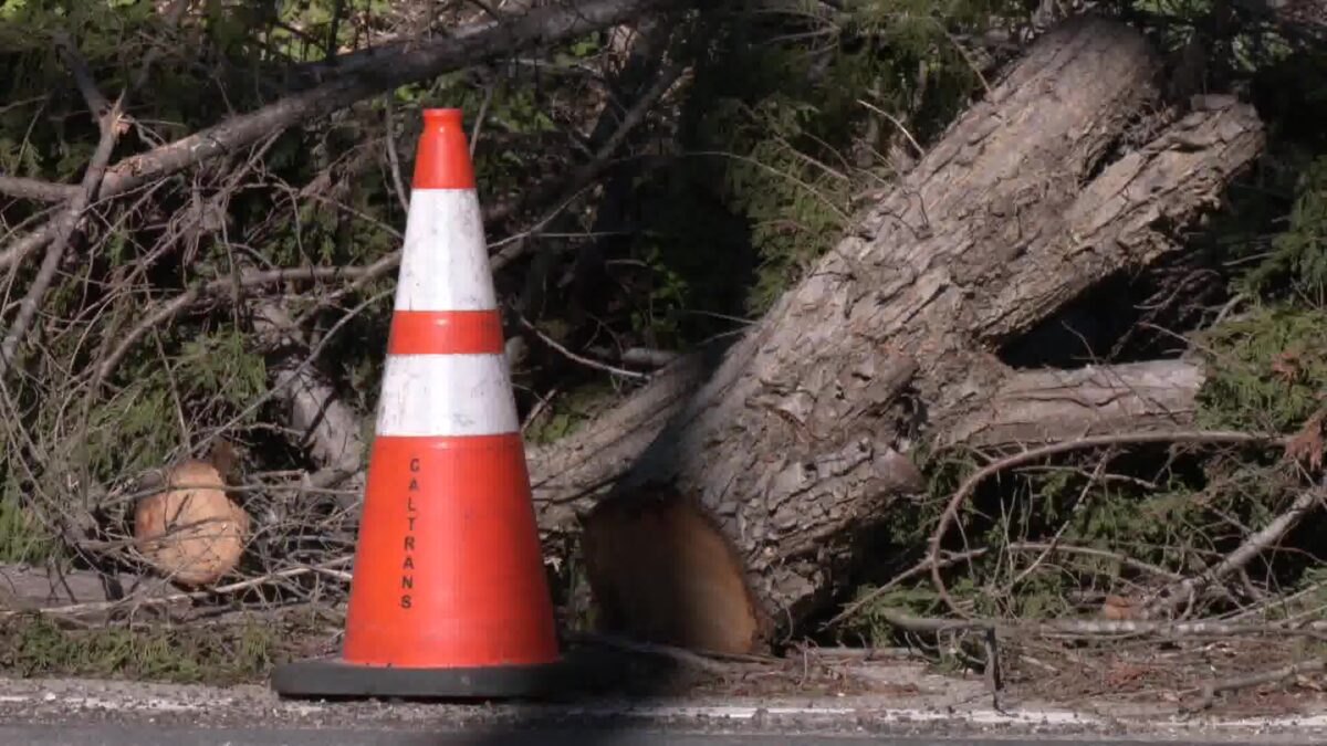 Rain and Wind Combination Challenges Central Coast Residents