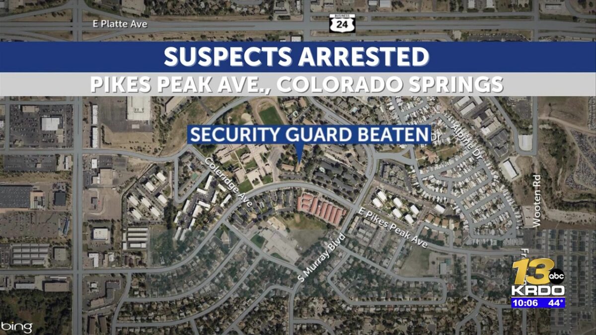 Alleged burglars assault security guard with bats