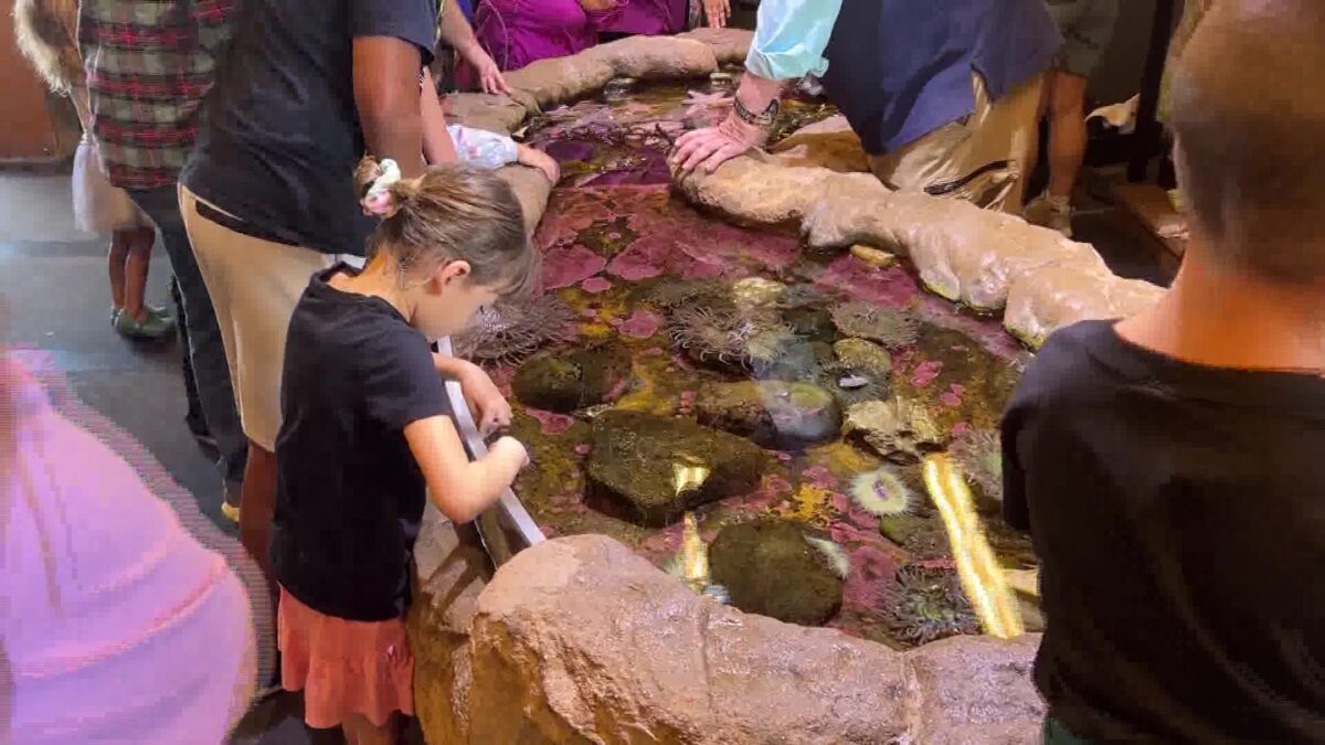 Underwater Parks Day Offers Marine Education Free of Charge