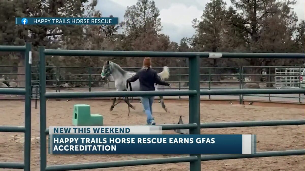 Happy Trails Horse Rescue earns global recognition