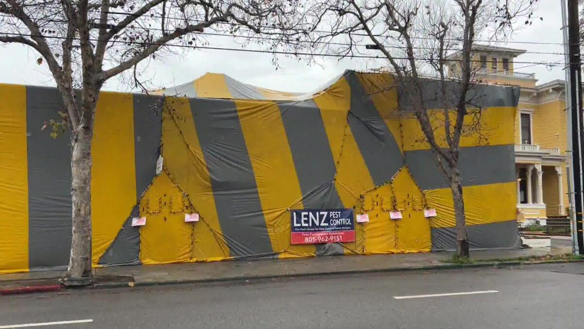 New Years Reset & Fumigation Closes The Unity Shoppe for Over a Week