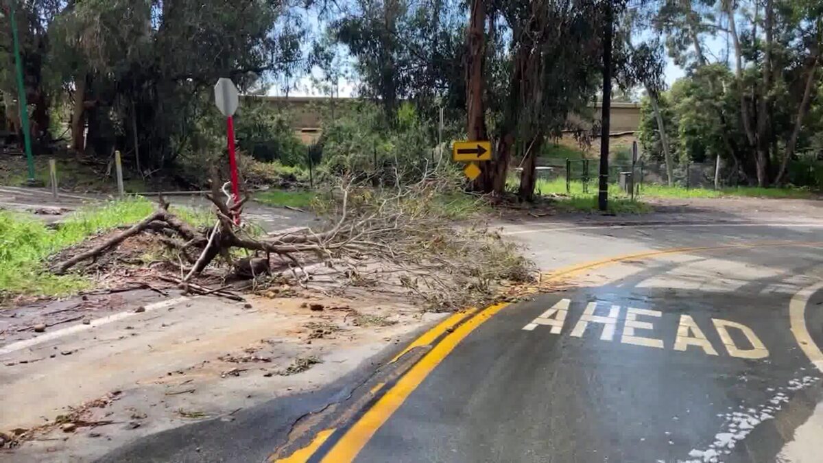 County Seeking Storm Damage Reports for Funding Assistance