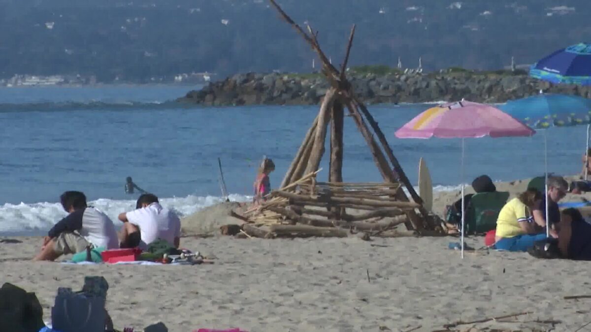 MLK Day Comes with Free State Park Admission