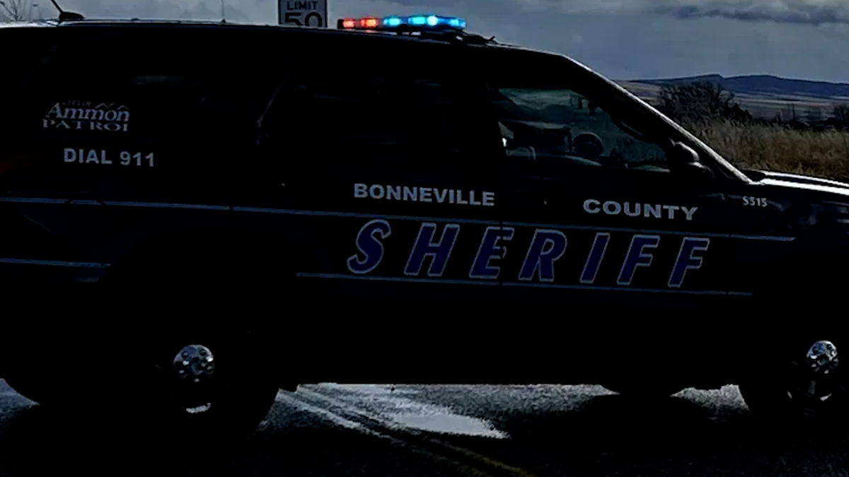 74-year-old pilot uninjured after plane flips in Palisades Reservoir