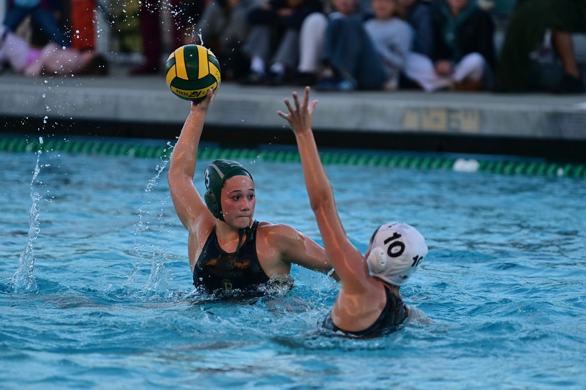 Water Polo CIF-SS Semifinals: San Marcos falls to #1 Mater Dei; Santa Barbara advances to D2 finals
