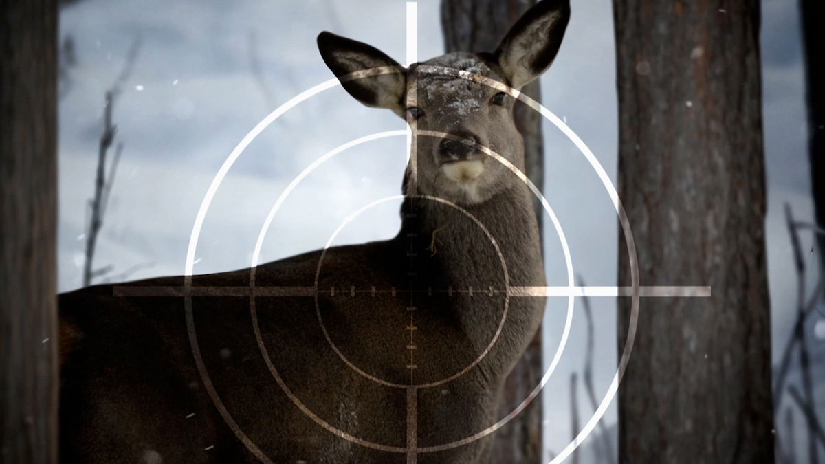 IDFG seeking the public’s help after three mule deer left to waste in Southwest Idaho