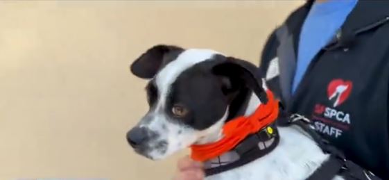 Just a few months ago