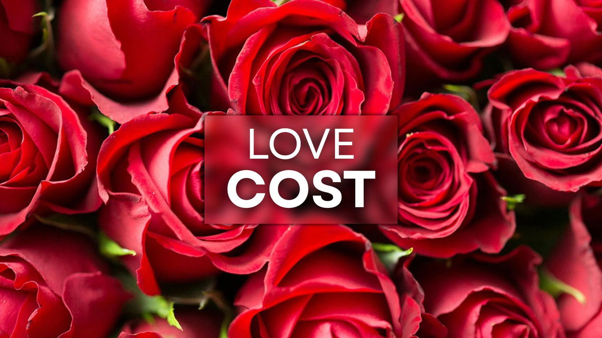 Local flower shops gear up for Valentine’s Day rush as spending hits record high