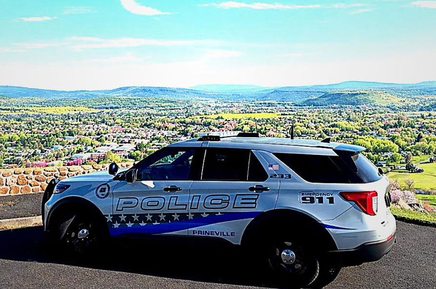 ‘Make the safe choice