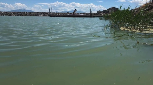 Utah Lake is pictured near Saratoga Springs. The Utah Lake Authority has announced its second annual "Great Carp Hunt" in efforts to protect the ecosystem. Utah Department of Environmental Quality