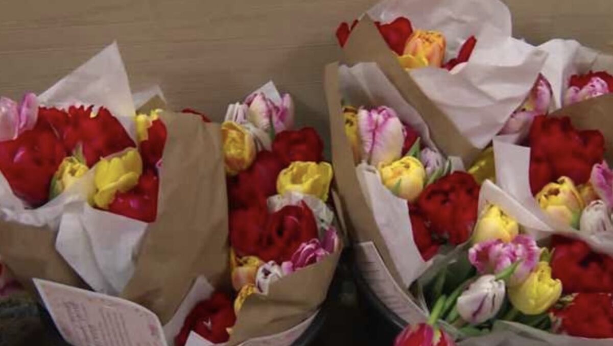 A colorful surprise brought joy to cancer patients at John Stoddard Cancer Center.