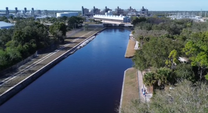 Florida Fish and Wildlife said 18 manatees were removed from Manatee Park in Fort Myers on Thursday. Those manatees were part of the 25 total deaths reported in Lee County from Feb. 13-18.