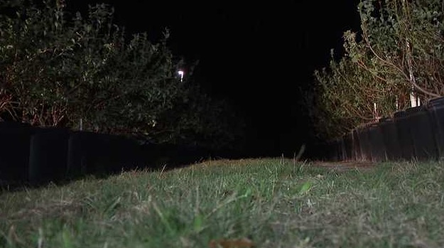 Farmers in Florida are facing billions of dollars in losses as they struggle to protect their crops from freezing temperatures.