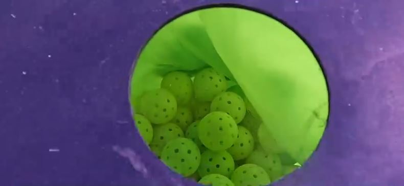 As pickleball's popularity surges across the Gulf Coast