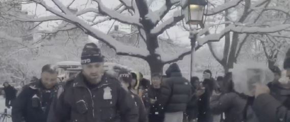 The Police Benevolent Association is calling for arrests and charges after a group of people were captured on video throwing snowballs at NYPD officers on Monday in a Lower Manhattan park.