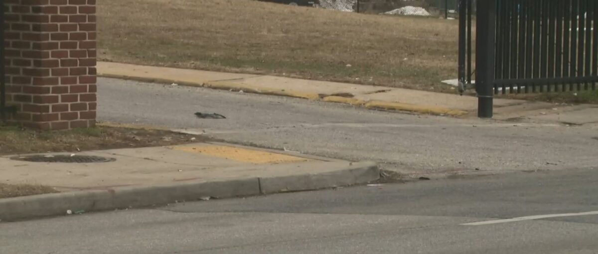 A video circulating on social media shows a young boy being hit by a car while watching a fight between several other children near a school in Baltimore on Tuesday