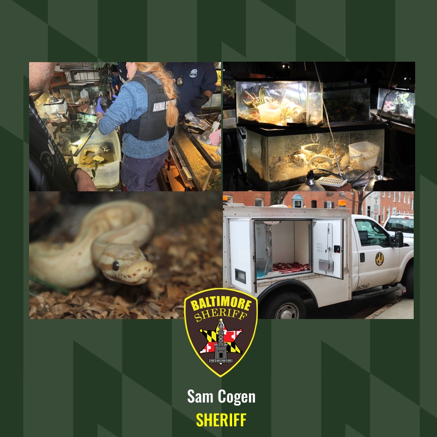 Baltimore Sheriff's deputies helped rescue 65 reptiles from a home after their owner died