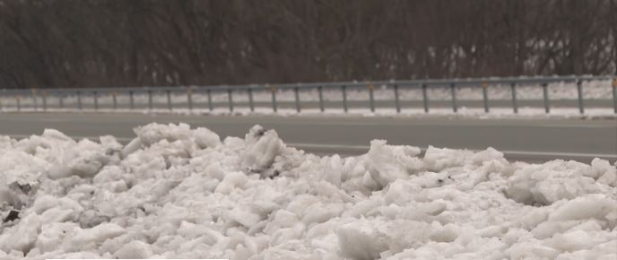 Tristan and Taylor Pharis may seem like opposites