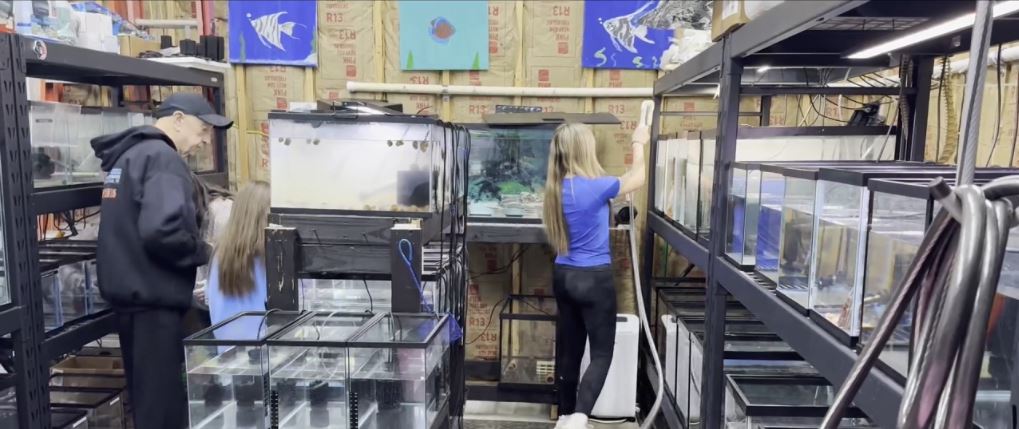 Losing power meant no heat and