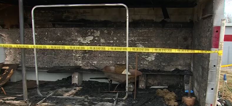 The Talladega High School baseball team is preparing for its first game of the season next Thursday against Gaylesville