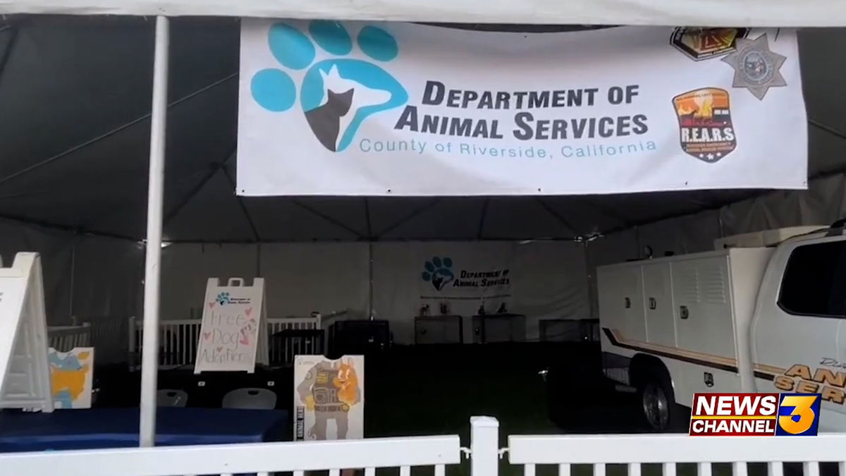 Free Dog Adoptions Wrap Up This Weekend at County Fair