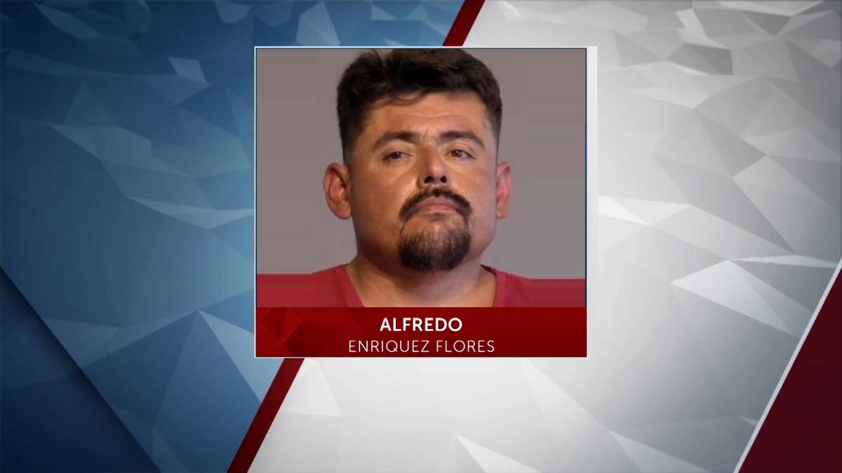 Suspect in New Year’s hit and run pleads guilty