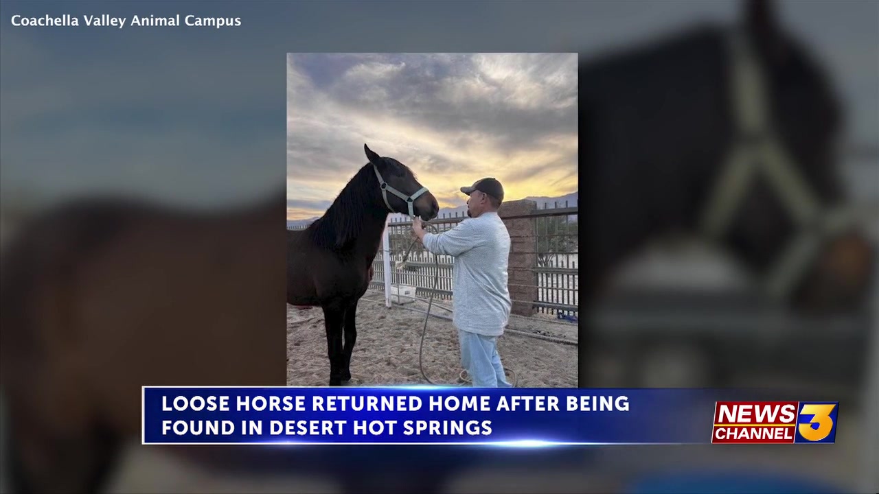 Loose horse returned home after being found in Desert Hot Springs