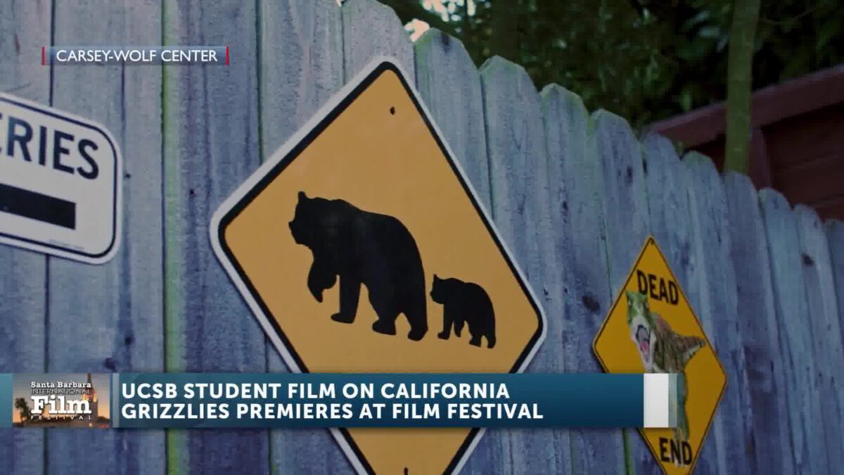 Local Student-Led Film Screens The Fight To Bring Back The California Grizzly Bear