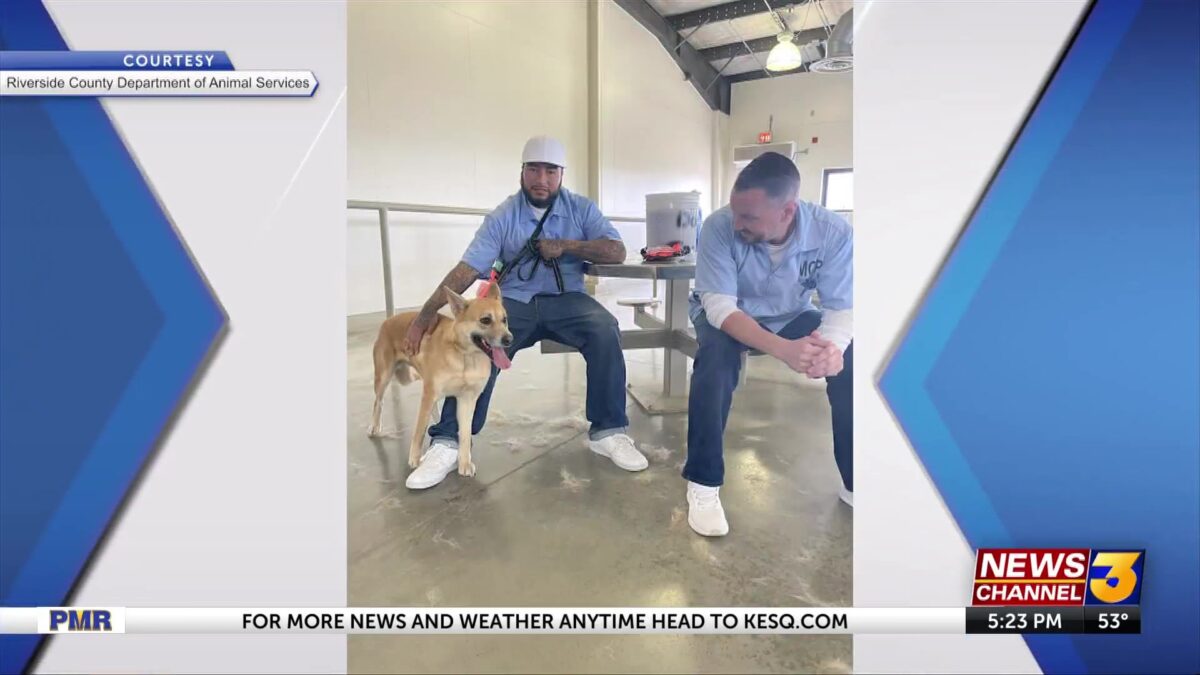 Riverside County Dept of Animal Services launches prison dog foster program