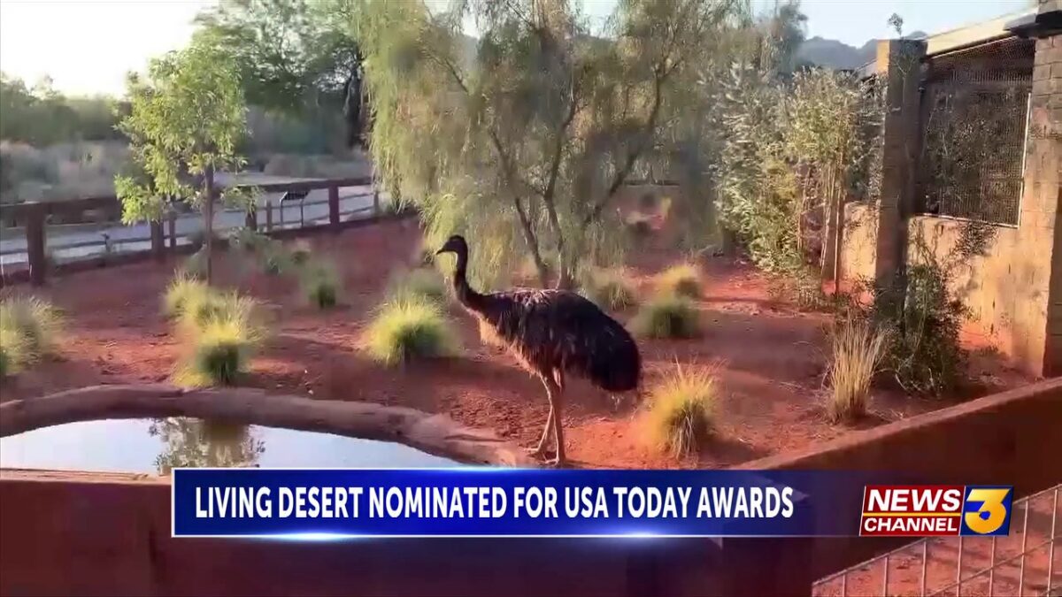 Living Desert up for three USA Today Reader’s Choise Awards