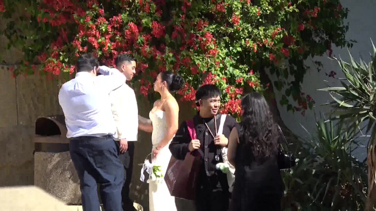 Marriage Licenses and Weddings at the Santa Barbara Courthouse Reach Record Level