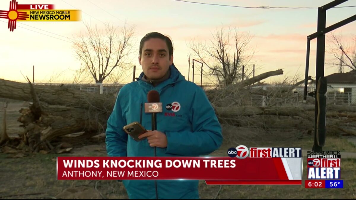Strong winds in the Borderland knocked down “Doppler” Dave’s trees