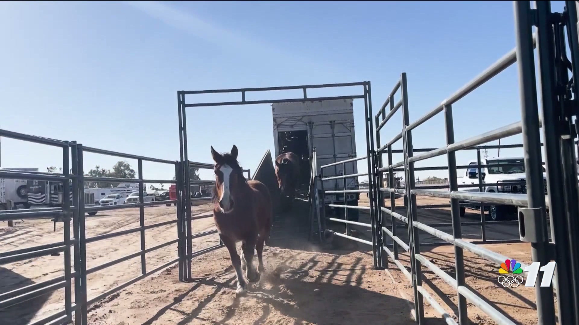 81st Annual Silver Spur Rodeo returns to Yuma
