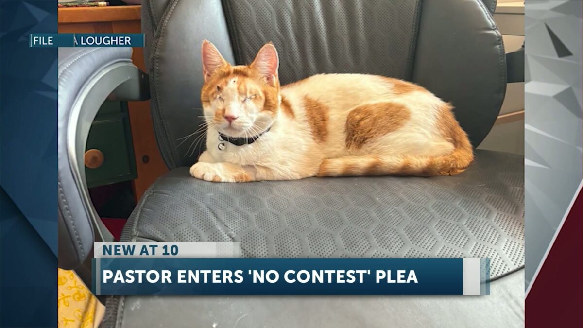 Prineville pastor pleads no contest in shooting of neighborhood cat that left ‘Pumpkin’ permanently blind