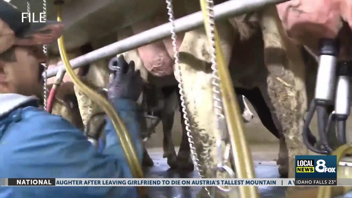 Immigrants in Idaho: Major study analyzes the economic costs to Idaho of mass deportation