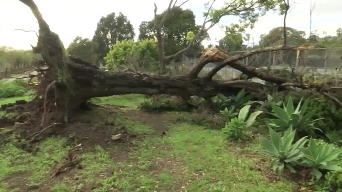 Municipal Tennis and Pickleball Center in Santa Barbara temporarily closed due to storm damage