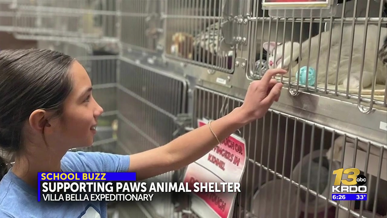 The School Buzz: Pueblo charter school gives back to animal shelter through donations