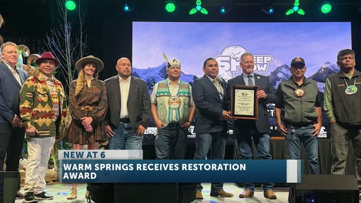 Confederated Tribes of Warm Springs honored for bighorn sheep restoration efforts