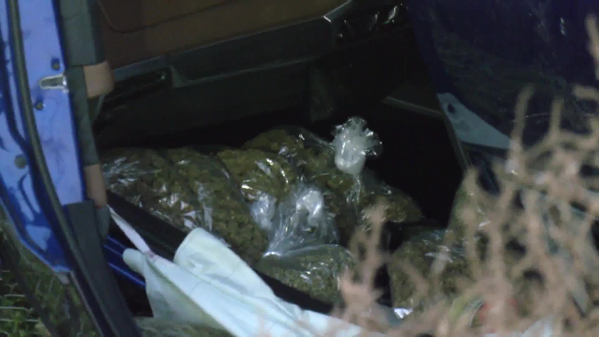 Three arrested in connection with Foothill Road cannabis farm burglary after a search by deputies