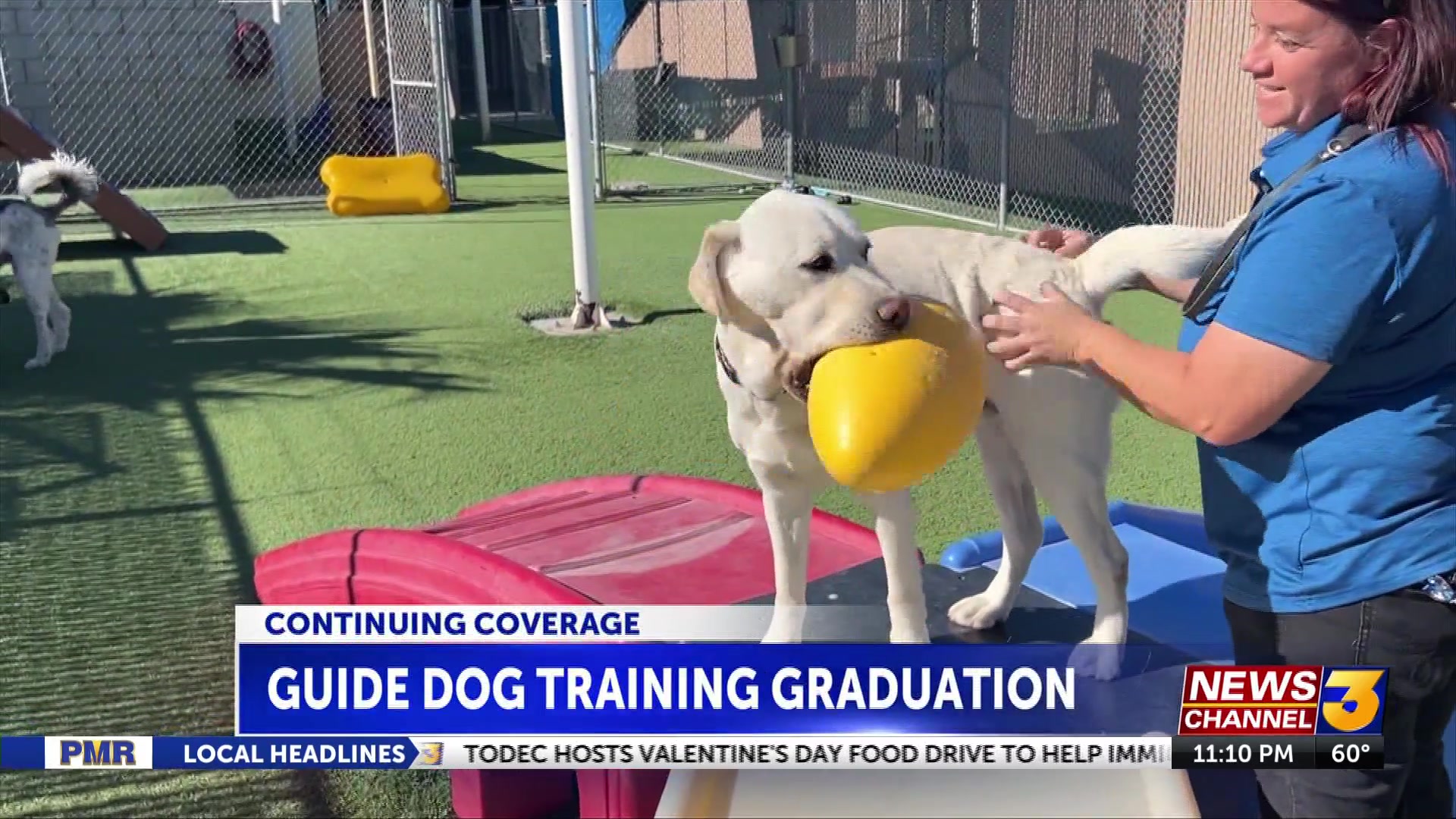 Guide Dogs of the Desert pairs blind students with newly trained guide dogs