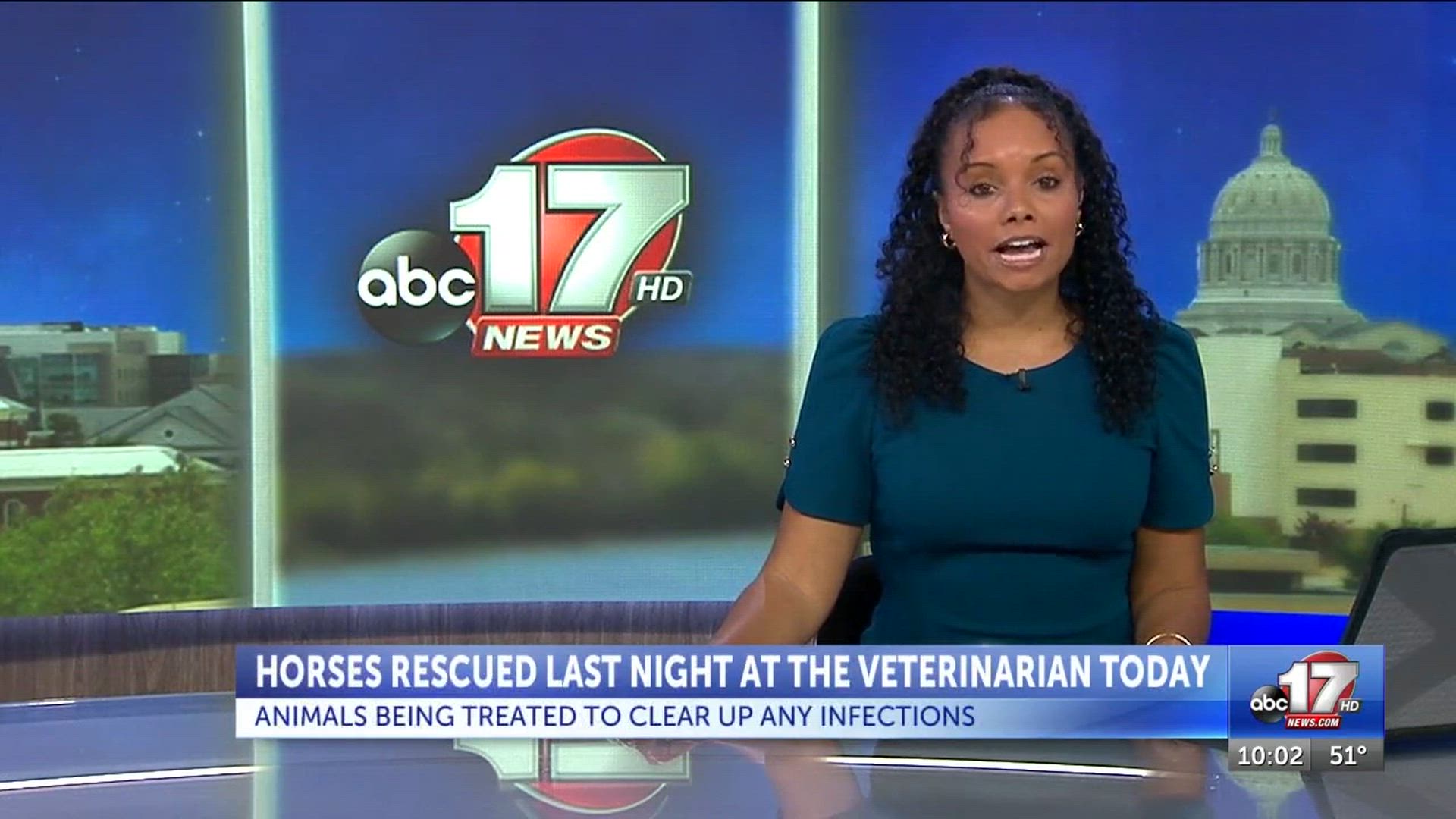 Large animal rescue training pays off in Boone County horse rescue