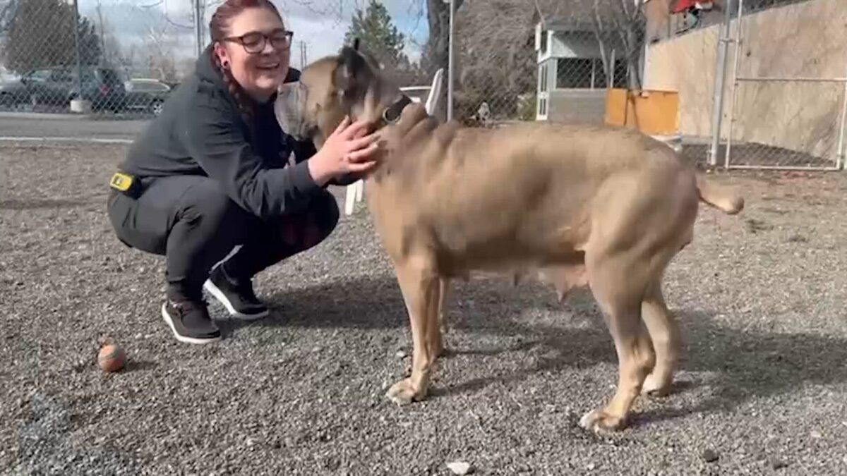 ‘So deserving’: Mama Eva