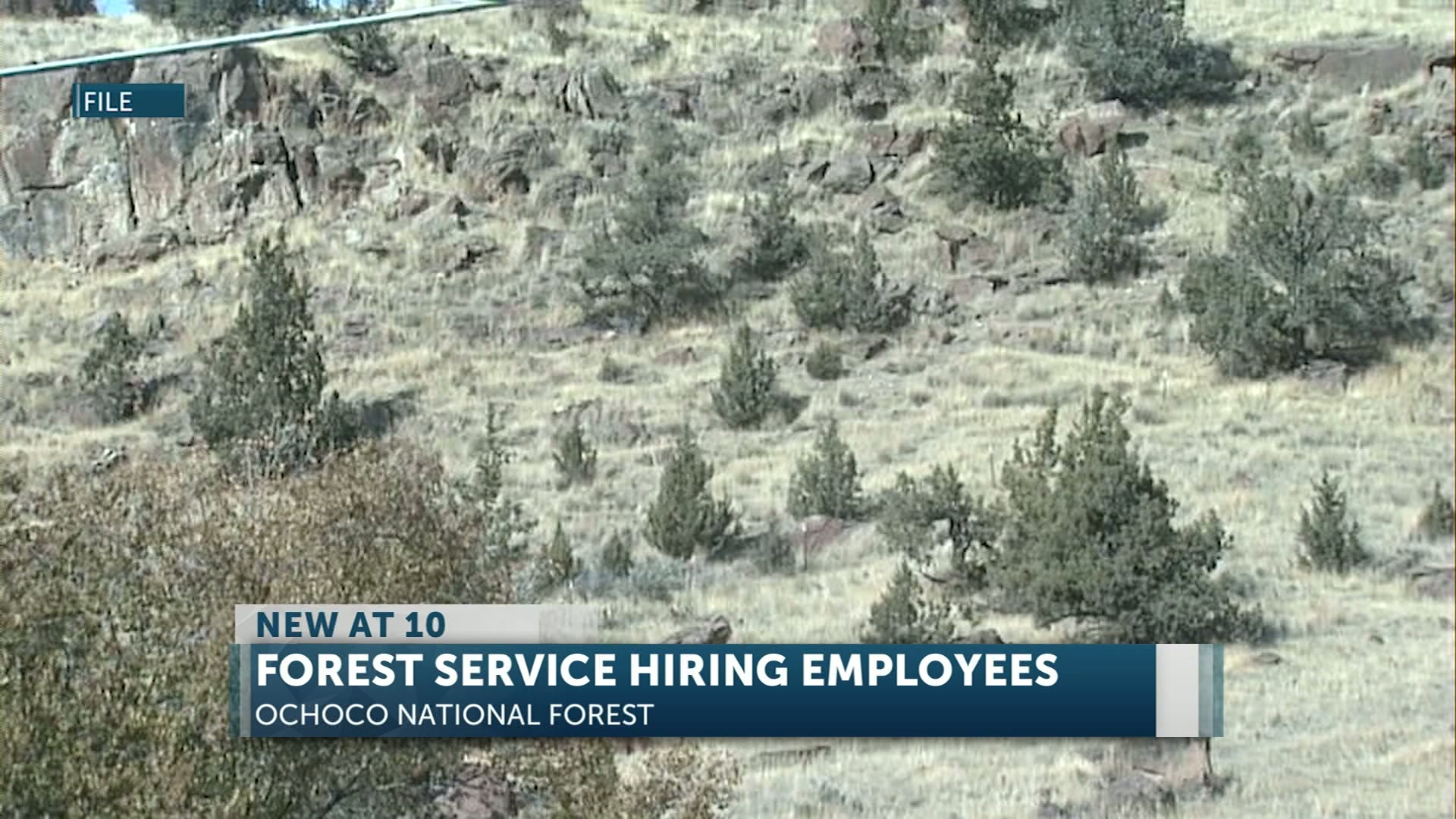 ‘Essential workforce’: Ochoco National Forest is hiring seasonal workers for upcoming recreation season