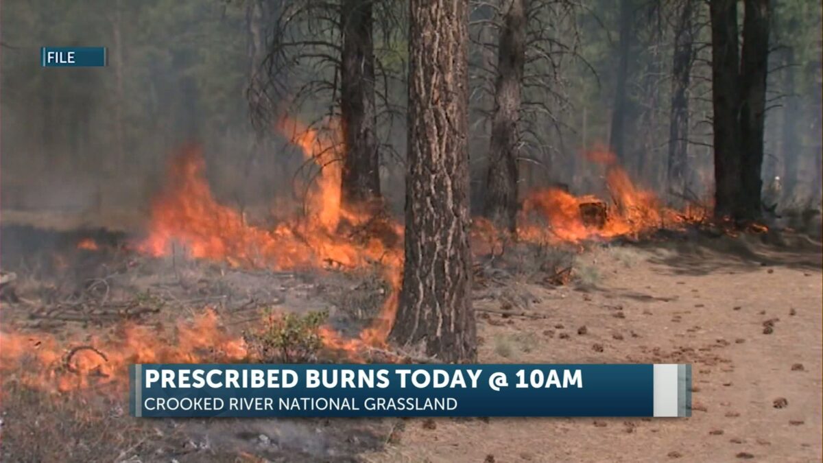 Update: Weather delays pile burning work on Crooked River Grassland SE of Madras