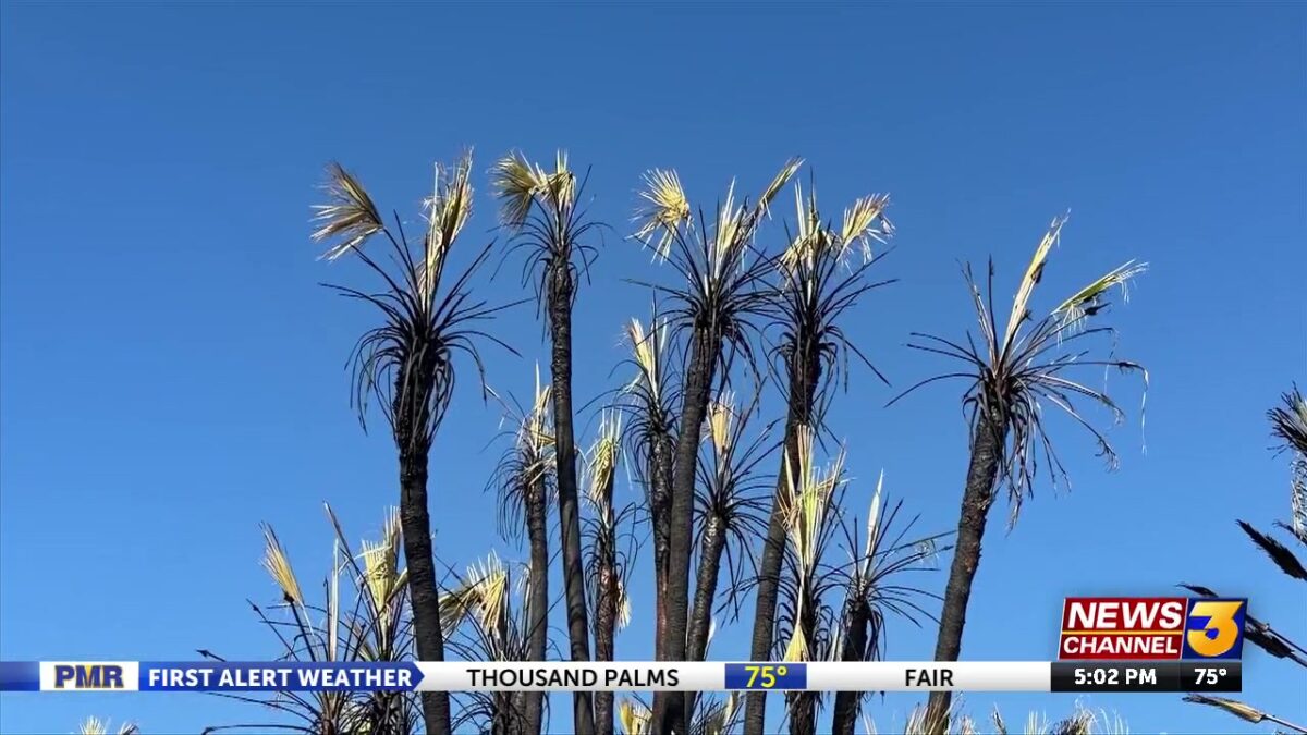 Palm Springs officials review Prescott Preserve fire