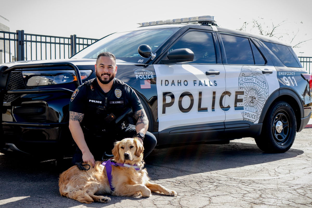 Meet Molly the therapy dog