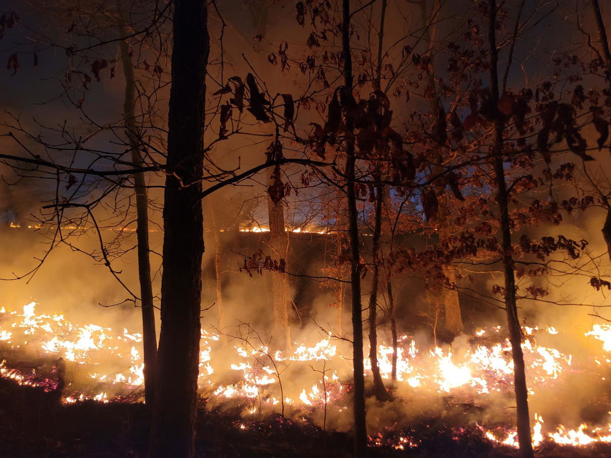 Fire burns more than 400 acres in Camden County