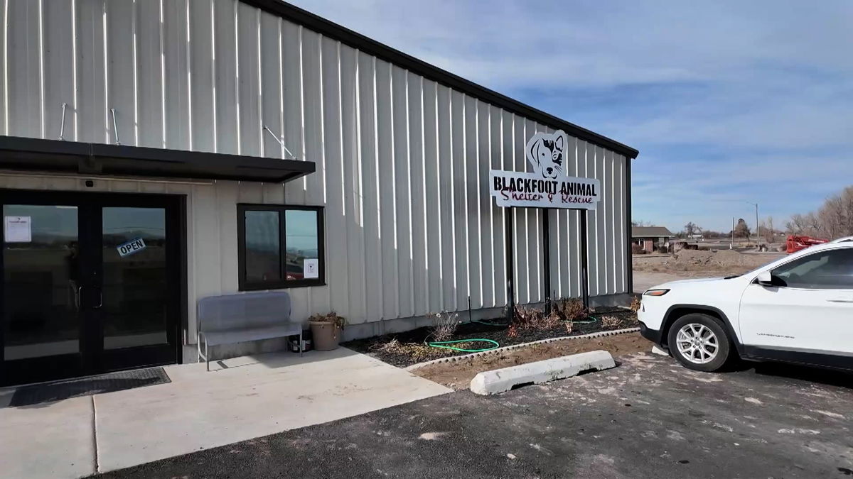 Blackfoot Animal Shelter hits breaking point amid overcrowding