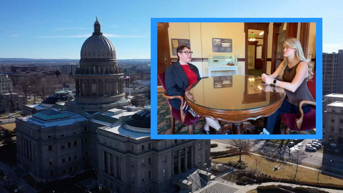 Idaho lawmakers consider temporary funding to restore mental health services after program cuts
